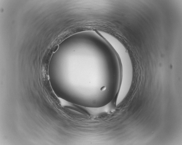 X0000052650597200507221843