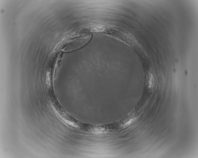 X0000052650598200507221843