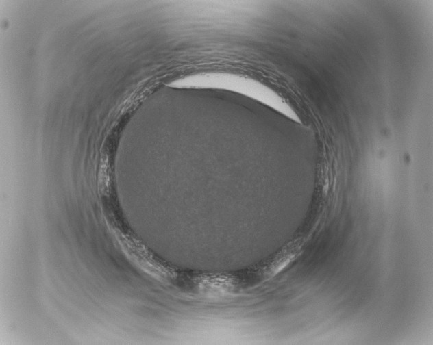 X0000052650599200507221843