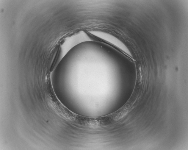 X0000052650600200507221843