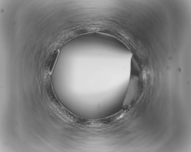 X0000052650601200507221843