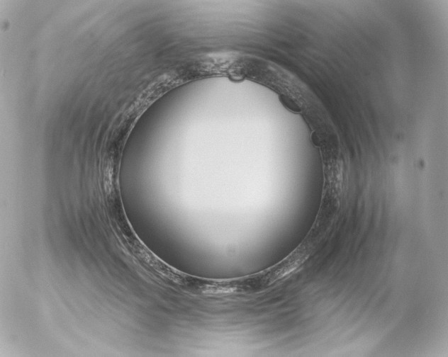 X0000052650602200507221843