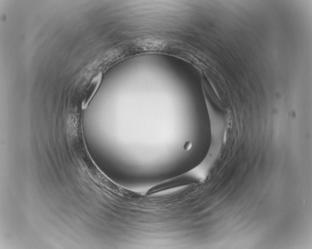 X0000052650604200507221843