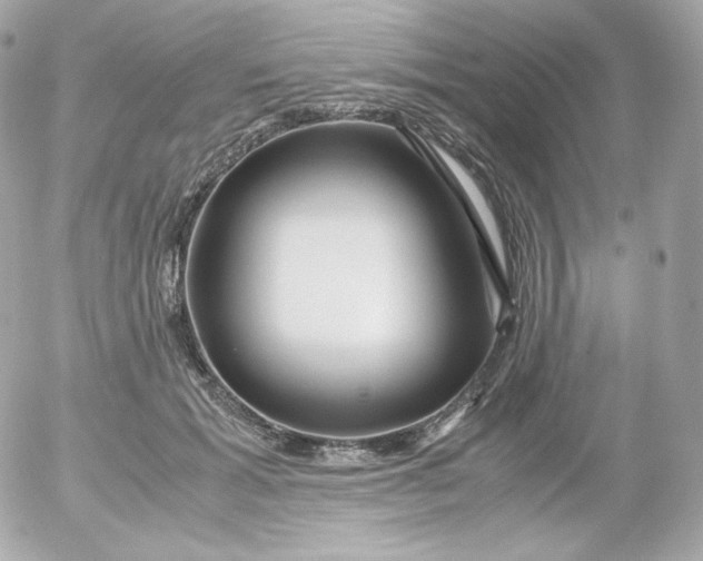 X0000052650605200507221843