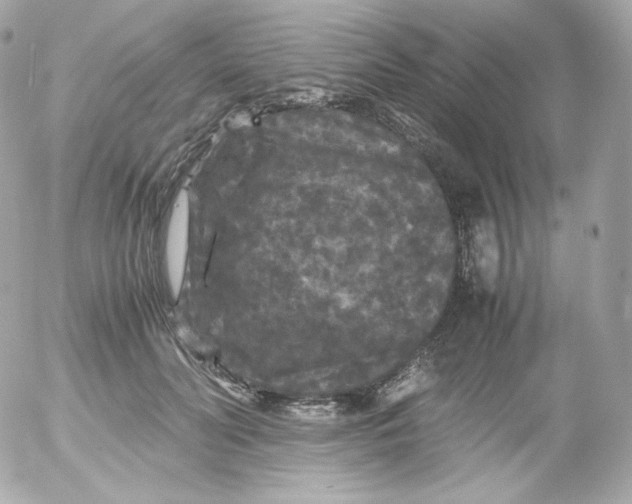 X0000052650606200507221843