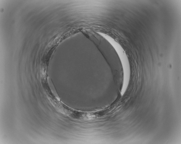 X0000052650607200507221843