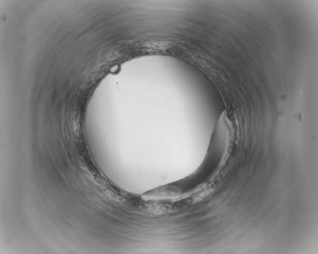 X0000052650608200507221843