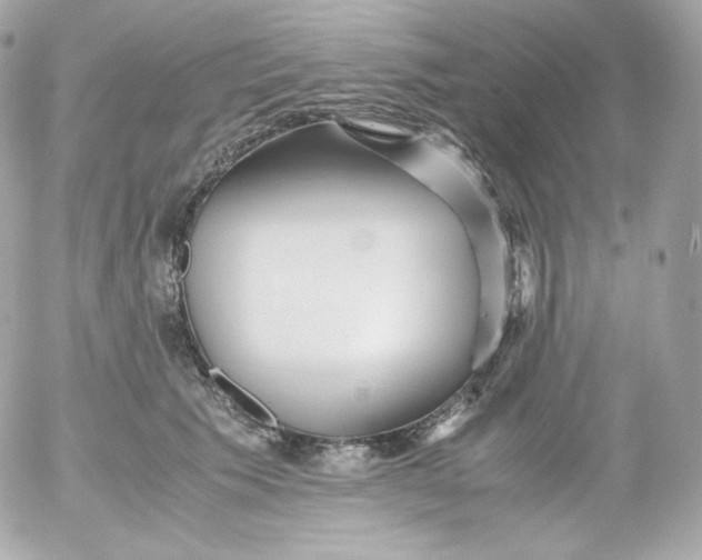 X0000052650609200507221843