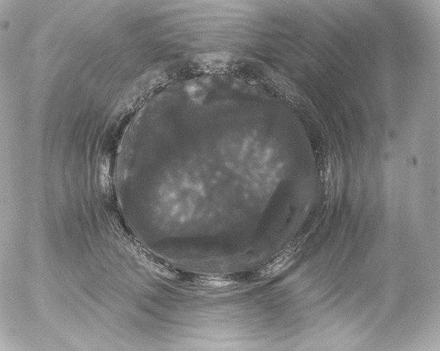 X0000052650610200507221843