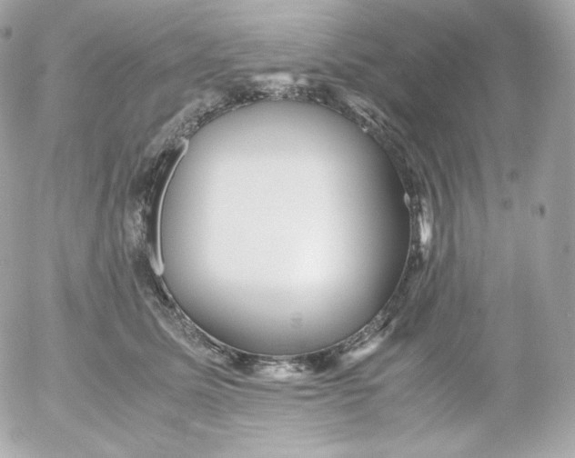 X0000052650611200507221843