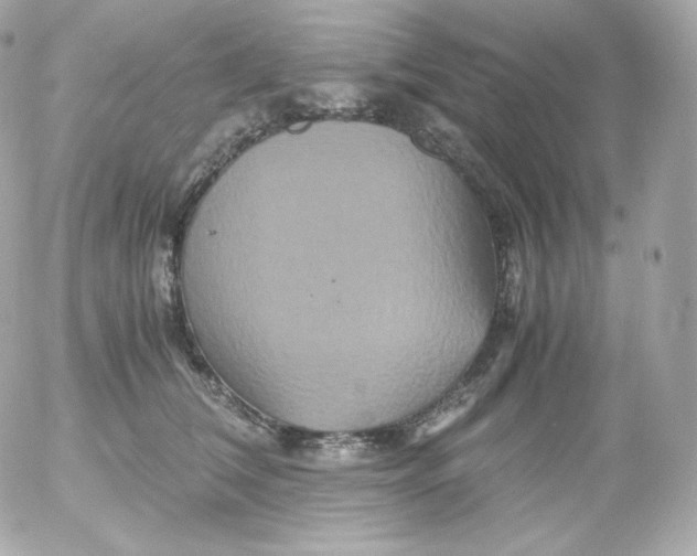 X0000052650612200507221843