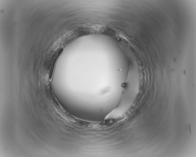 X0000052650613200507221843