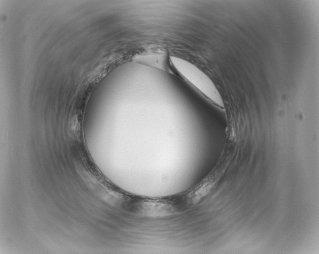 X0000052650614200507221843