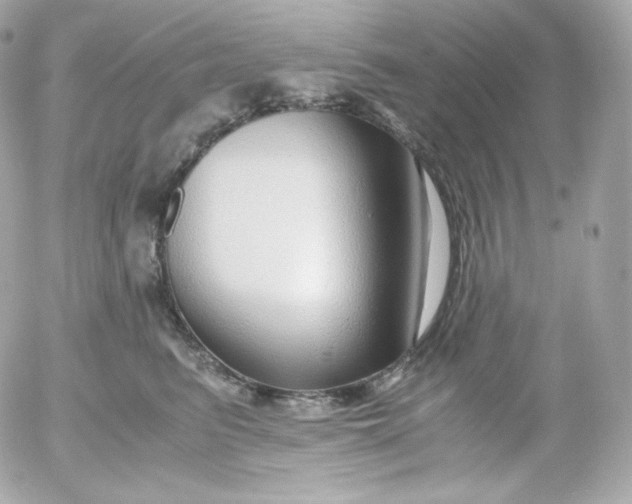 X0000052650615200507221843