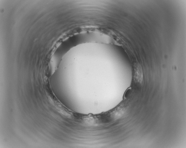 X0000052650616200507221843