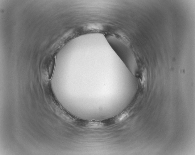 X0000052650617200507221843