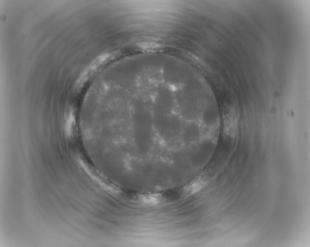 X0000052650618200507221843