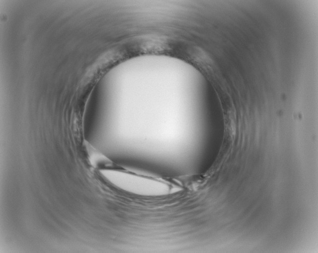 X0000052650619200507221843