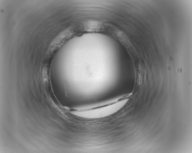 X0000052650620200507221843