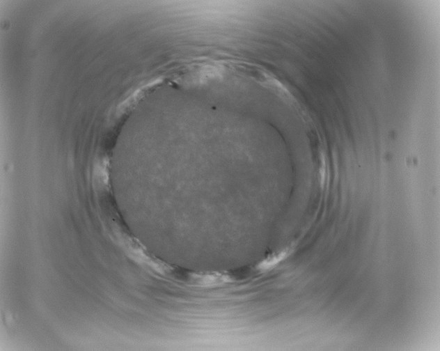 X0000052650621200507221843