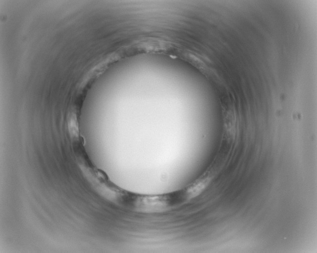 X0000052650622200507221843