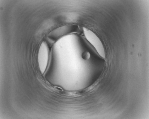 X0000052650623200507221843