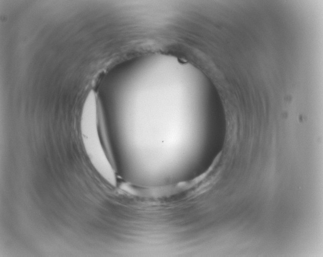 X0000052650624200507221843