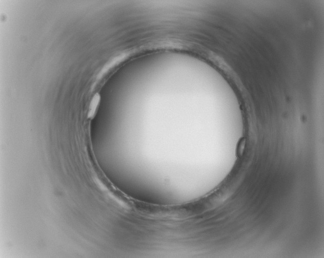 X0000052650625200507221842