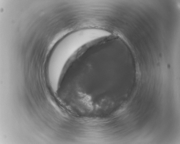 X0000052650626200507221842