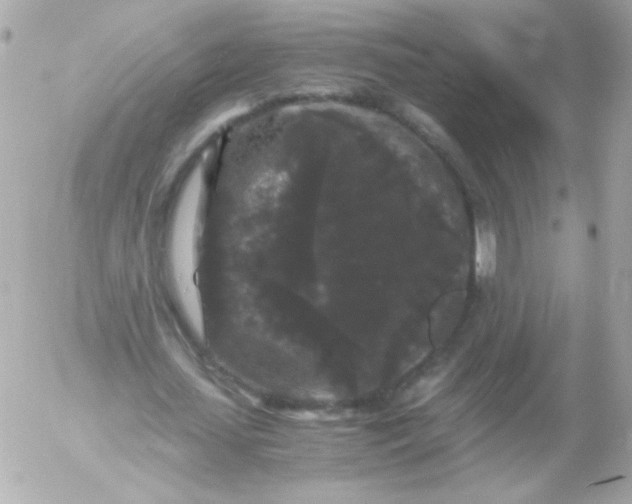 X0000052650627200507221842