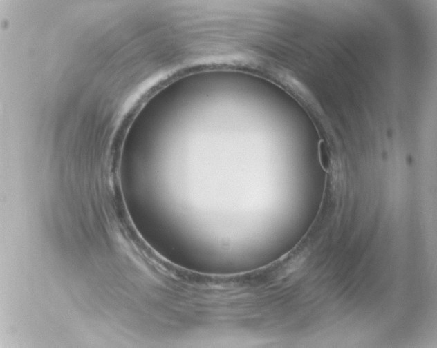 X0000052650628200507221842