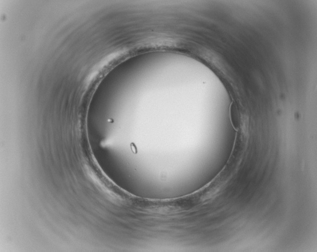 X0000052650629200507221842