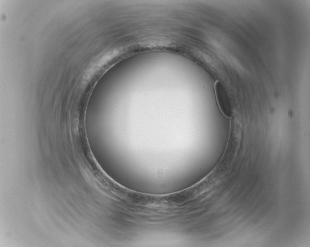 X0000052650631200507221842