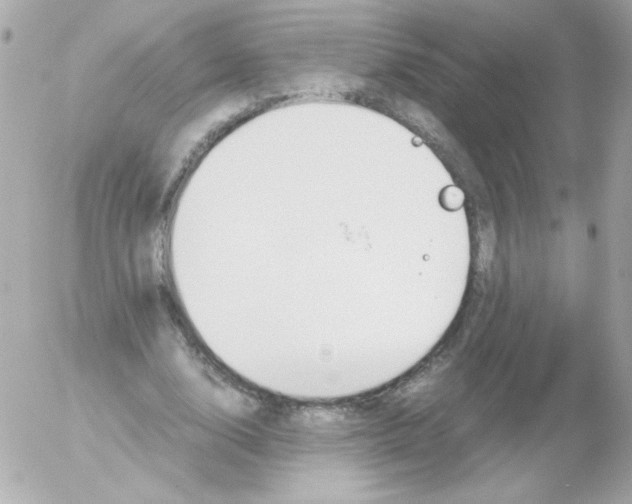 X0000052650632200507221842