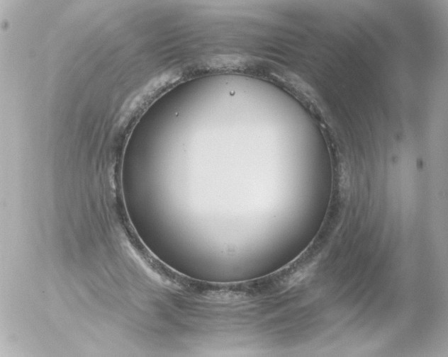 X0000052650633200507221842