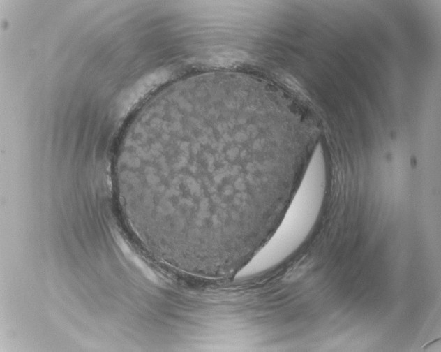 X0000052650634200507221842