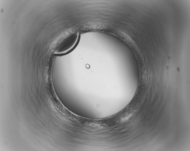 X0000052650635200507221842