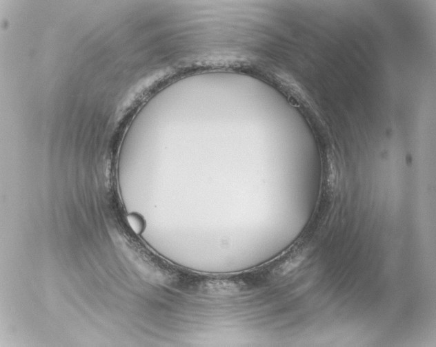 X0000052650636200507221842