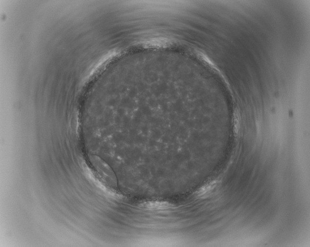 X0000052650637200507221842