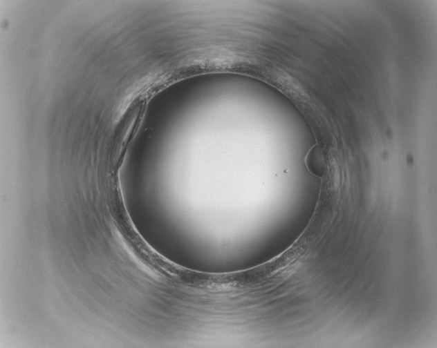 X0000052650638200507221842