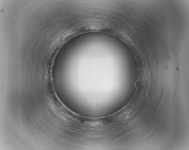 X0000052650639200507221842