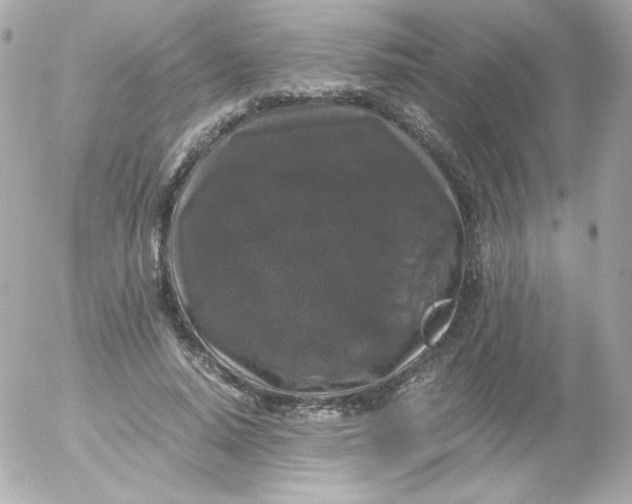 X0000052650640200507221842