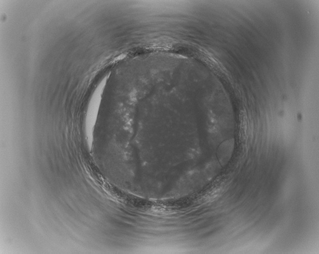 X0000052650641200507221842