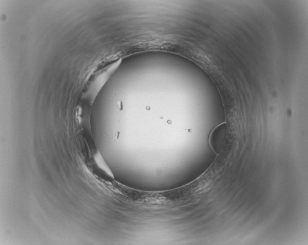 X0000052650642200507221842