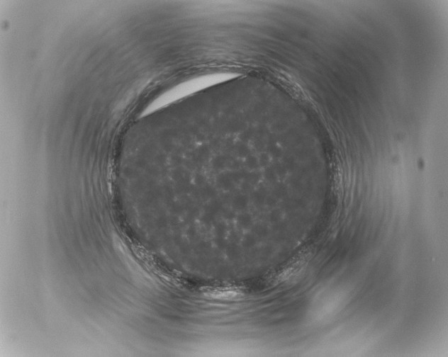 X0000052650643200507221842