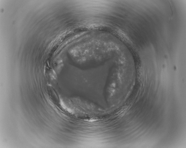 X0000052650644200507221842