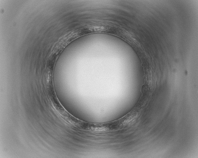 X0000052650645200507221842