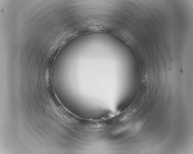 X0000052650646200507221842