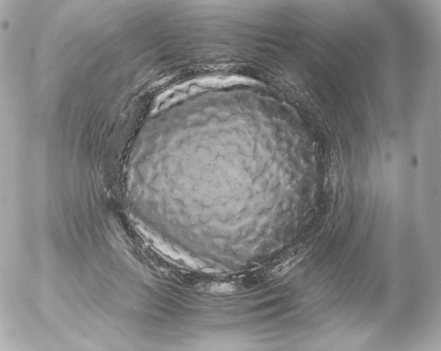 X0000052650647200507221843