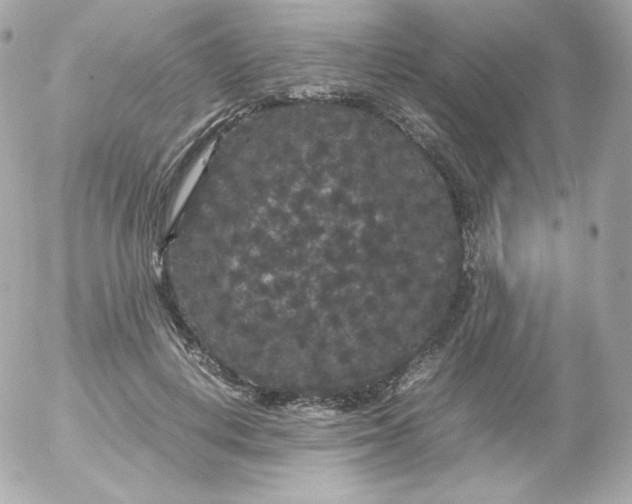 X0000052650648200507221843